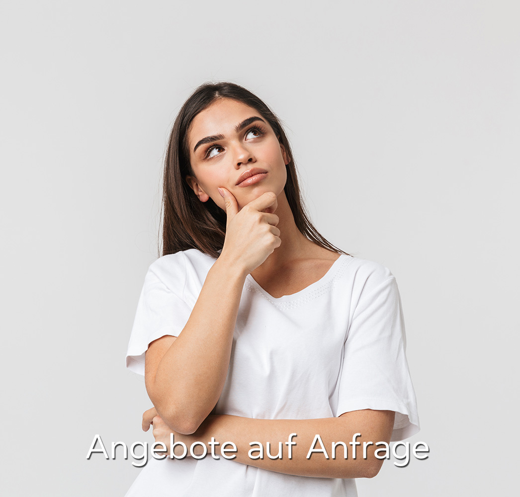 Hochschuluerbgreifende_Weiterbildung_Angebote_auf_Anfrage