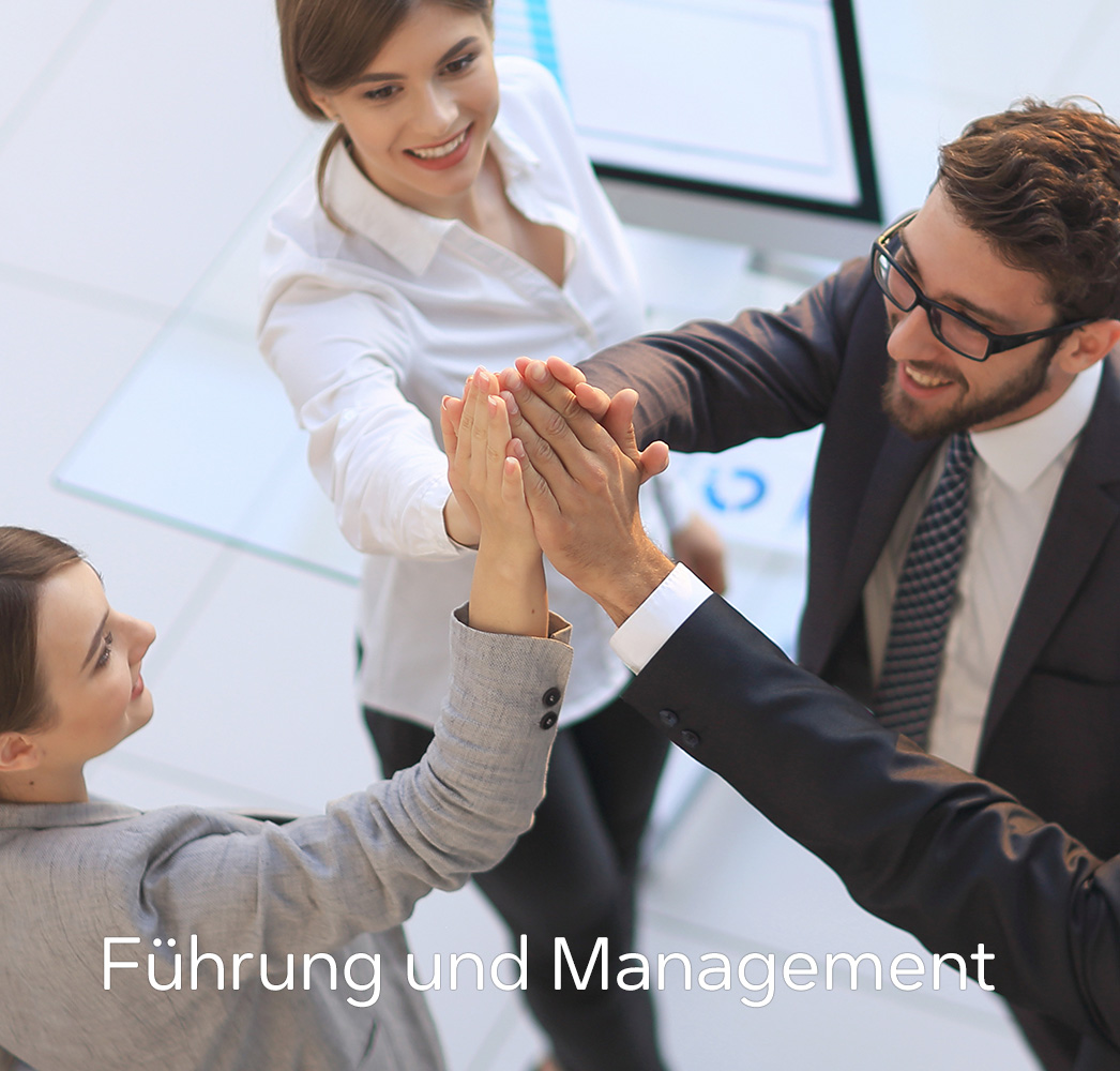 Hochschuluerbgreifende_Weiterbilung_Fuehrung_und_Management